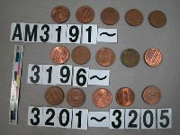 藏品(美國1分硬幣)的圖片